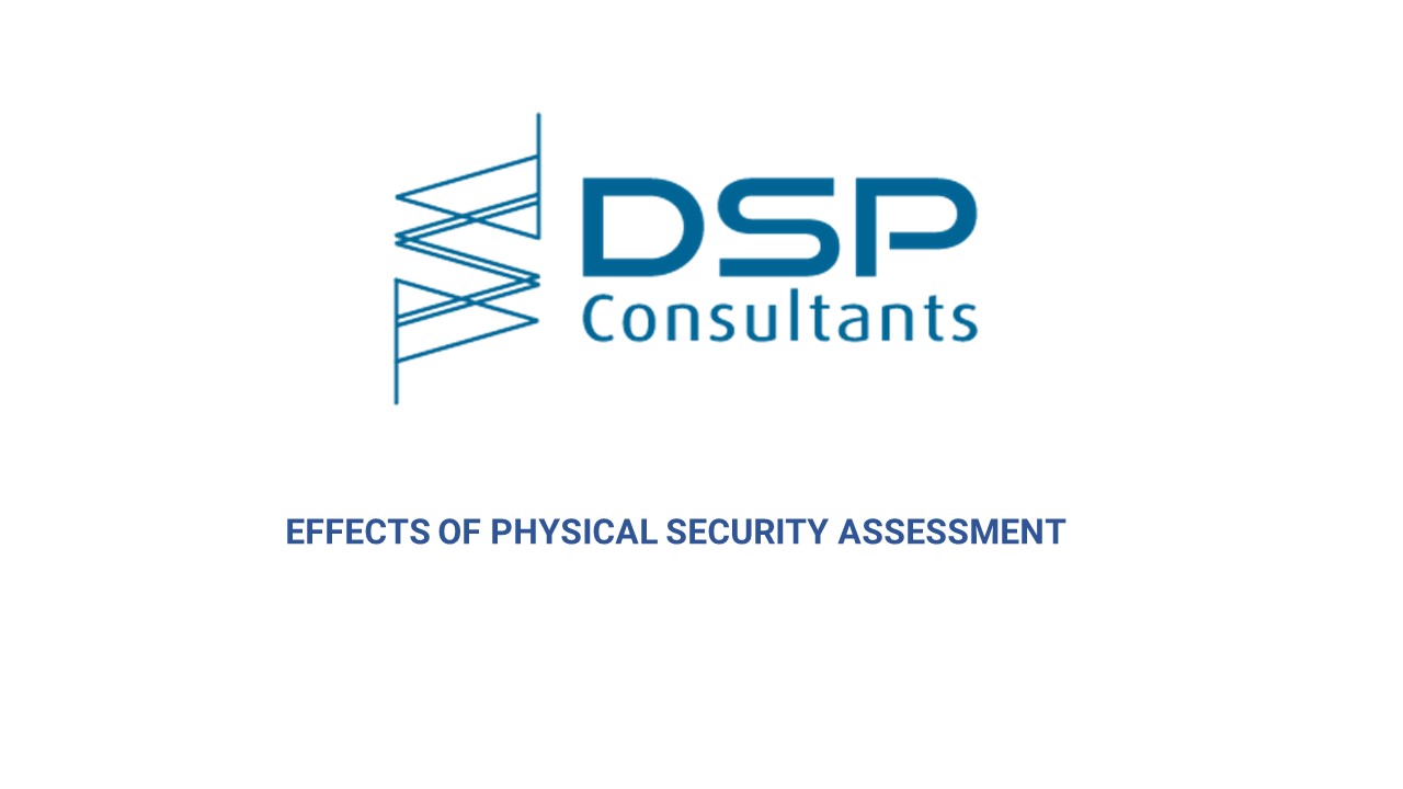 Security risk assessment consultants