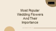 Most Popular Wedding Flowers And Their Importance