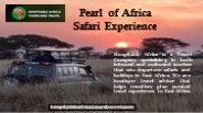 Pearl of Africa Safari Experience