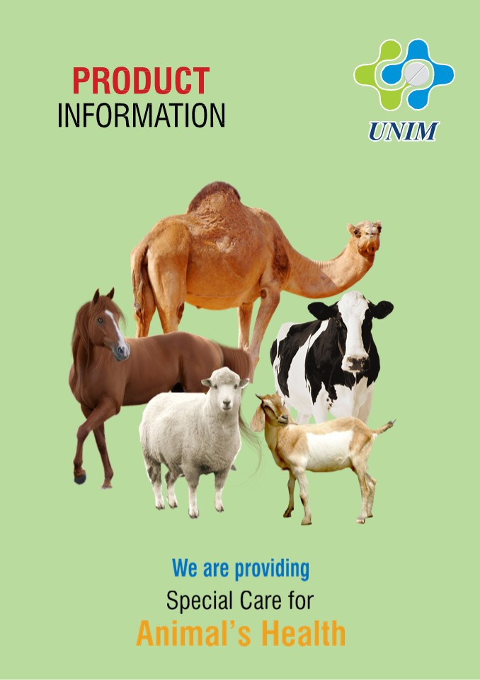 Cattle Feed Supplement
