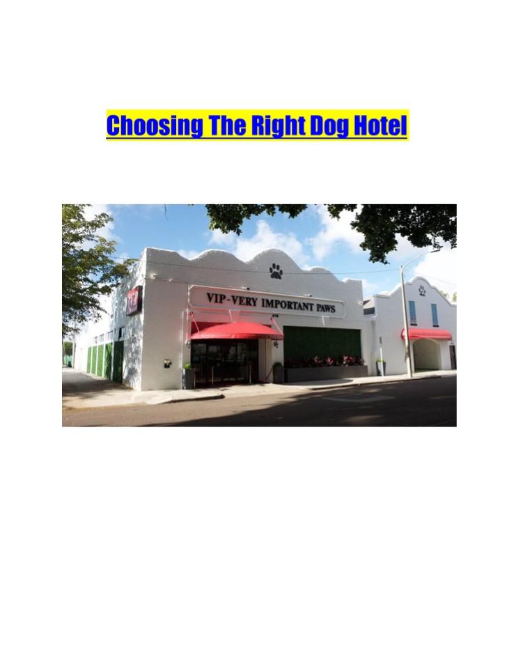 Choosing The Right Dog Hotel