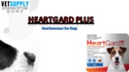 Heartgard Plus for Dogs