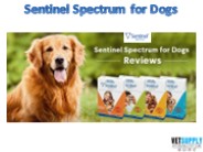 Sentinel Spectrum Dog Flea/worm Control | Free Shipping