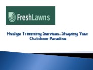 Hedge Trimming Services Shaping Your Outdoor Paradise