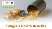 Ginger’s Health Benefits