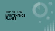 TOP 10 LOW MAINTENANCE PLANTS