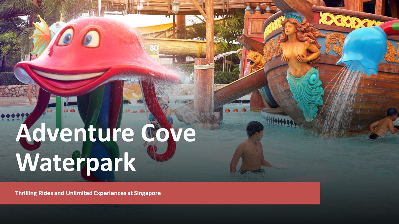 Adventure Cove Waterpark