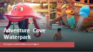 Adventure Cove Waterpark