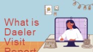 What is Dealer Visit Report