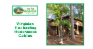 Virginia's Enchanting Honeymoon Cabins