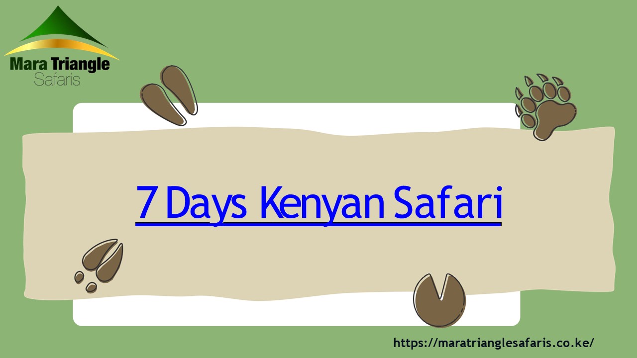 7 Days Kenyan Safari - Mara Triangle Safaris