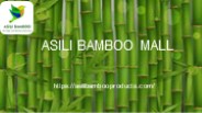 Bamboo furniture | bamboo farming in India