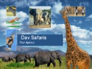 Zimbabwe Safari Tour Package