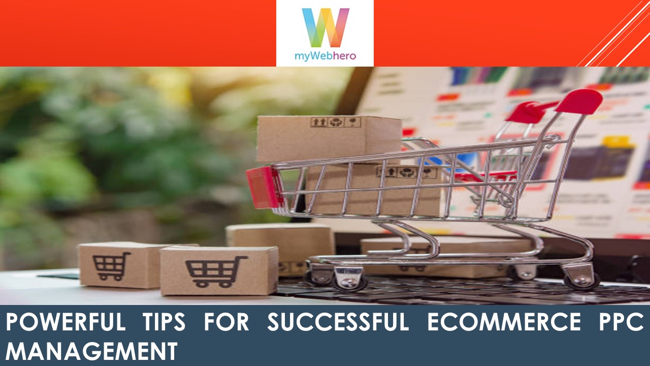 Powerful Tips for Successful Ecommerce PPC Management