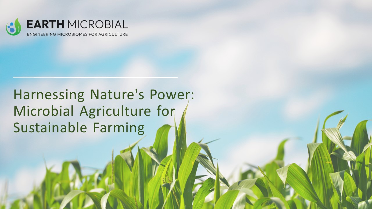 Harnessing Nature's Power Microbial Agriculture for Sustainable Farming