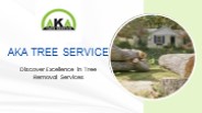 AKA Tree Service: Atlanta Tree Removal Service Experts (1)