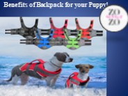 Benefits of Backpack for your Puppy!