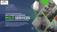 Mold Test Company | Get Best Mold Testing Services