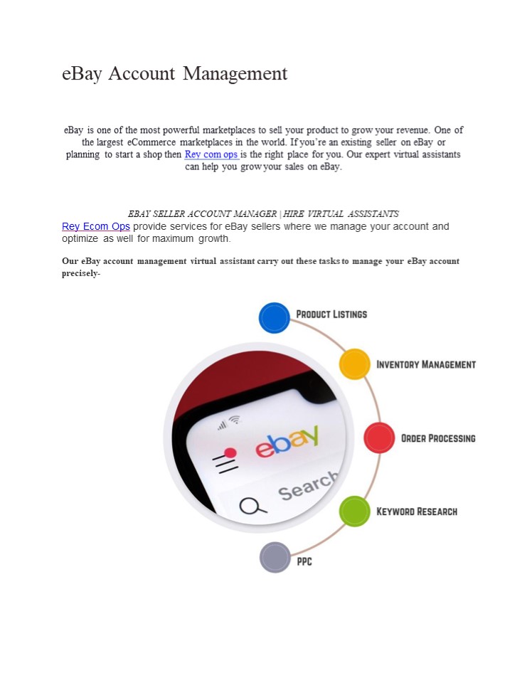 EBAY SELLER ACCOUNT MANAGER