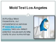 Mold Test Los Angeles 1