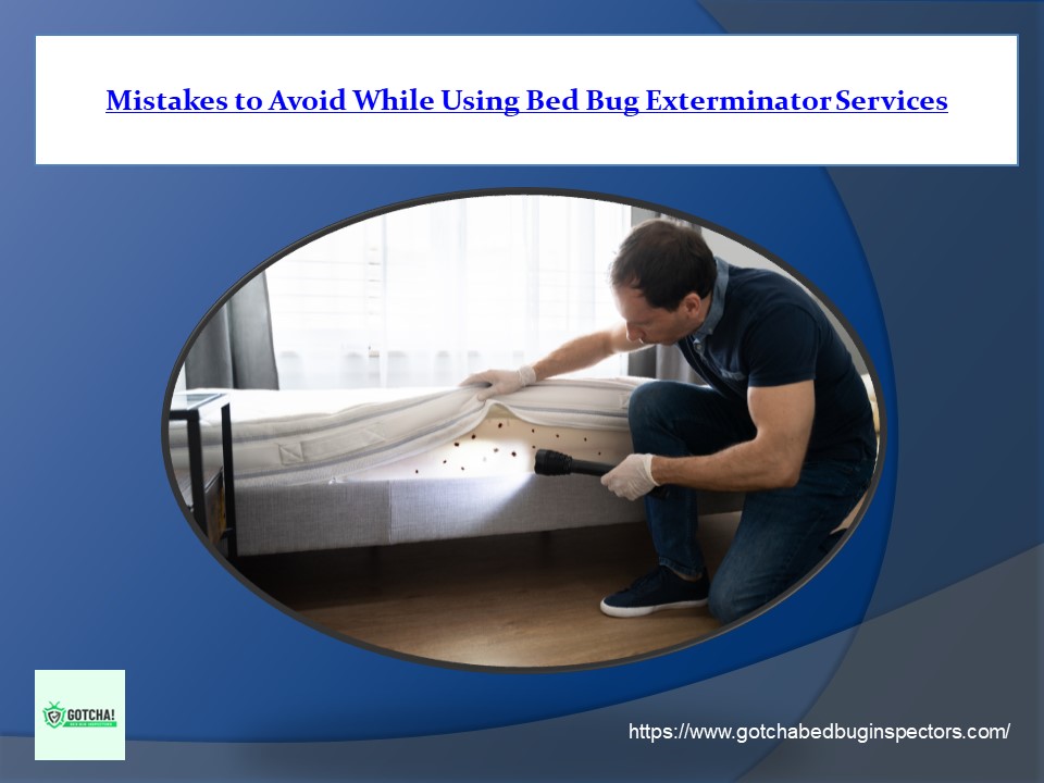 Mistakes to Avoid While Using Bed Bug Exterminator Services