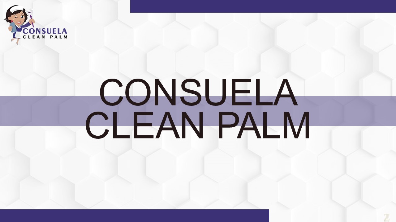 Office Cleaning Service Boca Raton: Consuela Clean Palm