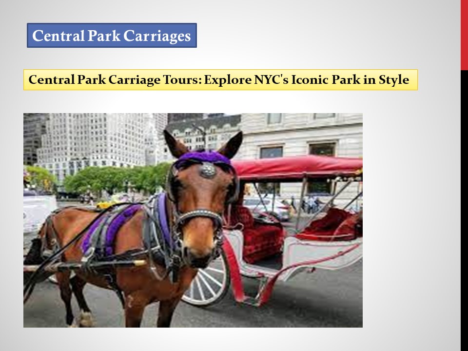 Central Park Carriage Tours: Explore NYC's Iconic Park in Style