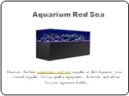 Aquarium Red Sea