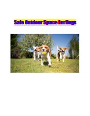 Safe Outdoor Space For Dogs