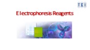 Electrophoresis Reagents