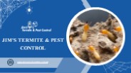 Effective Pest Control Solutions by Jim's Pest Control