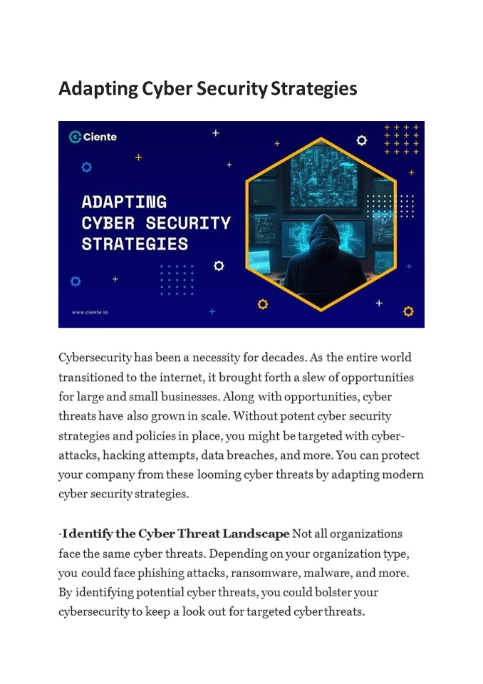 Adapting Cyber Security Strategies