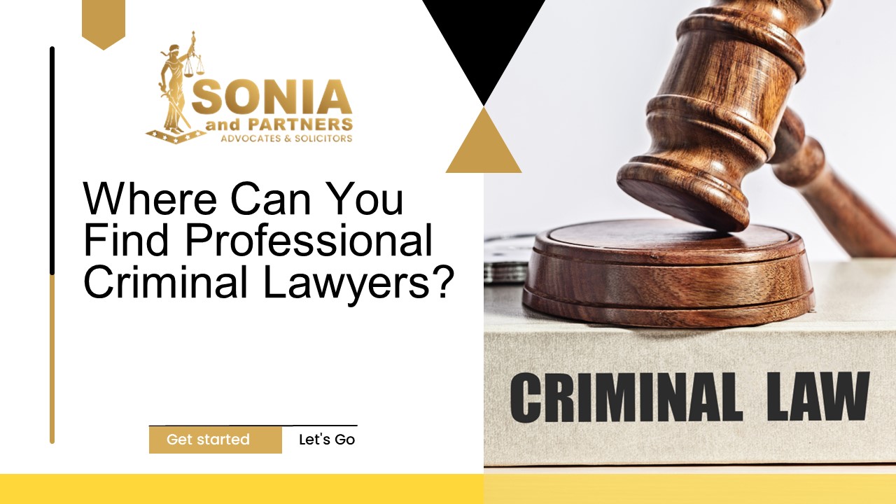 Where Can You Find Professional Criminal Lawyers?