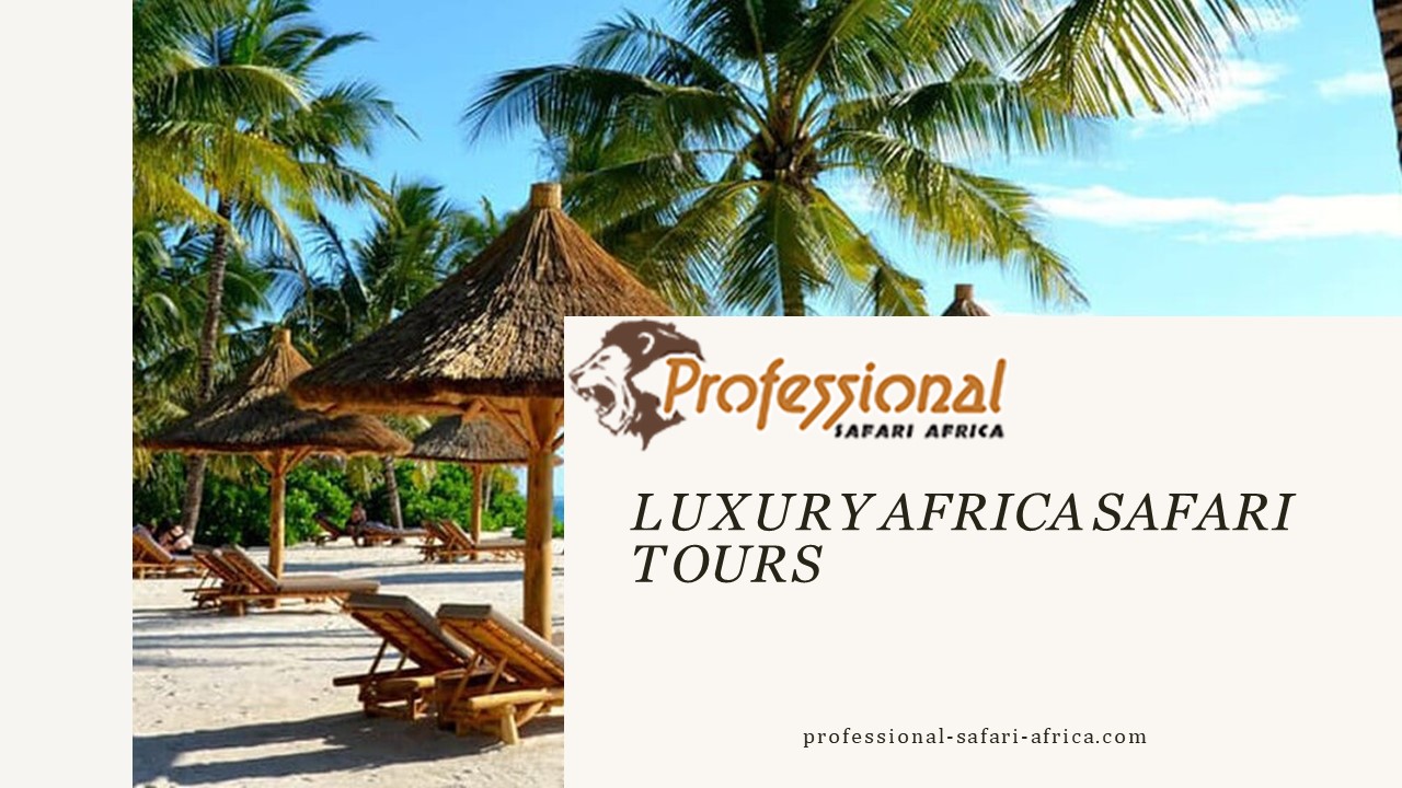 Luxury Africa Safari Tours (1)