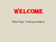 Best In Home Dog Training in Arcadia.