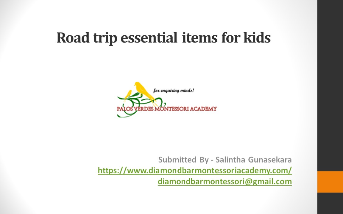 Road trip essential items for kids
