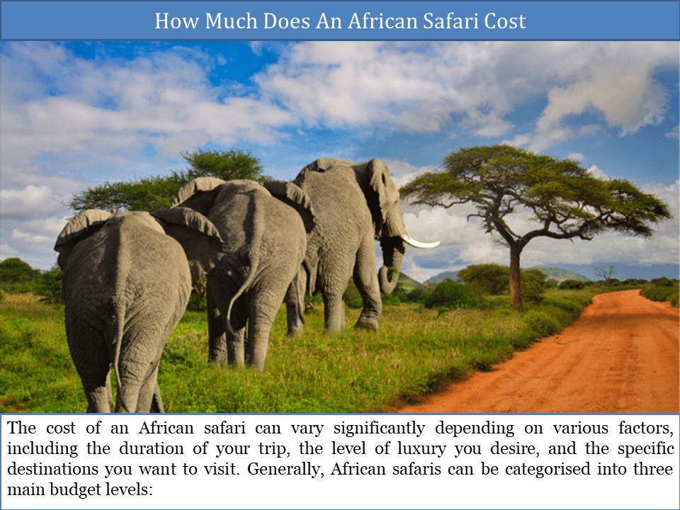 How Much Does an African Safari Cost?