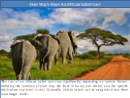 How Much Does an African Safari Cost?
