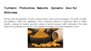 Turmeric Probiotics: Nature's Dynamic Duo for Wellness