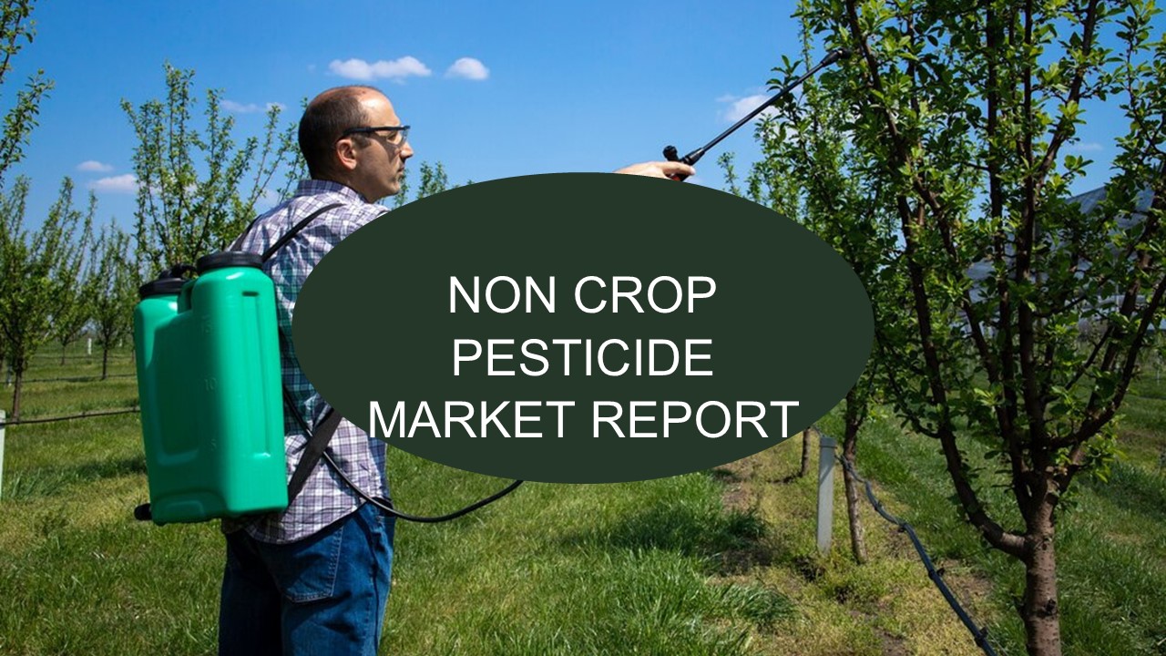 Non Crop Pesticide Market Report