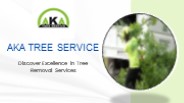 AKA Tree Service: Atlanta Tree Removal Service Expert