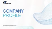 Digital Vision Pharma Company Introduction