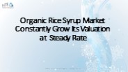 Organic Rice Syrup Market 2023