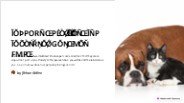 Southwest Airline Pet Policy