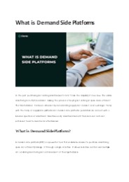 What is Demand Side Platforms.
