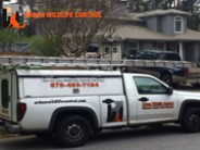 Wildlife Removal Services Atlanta,GA