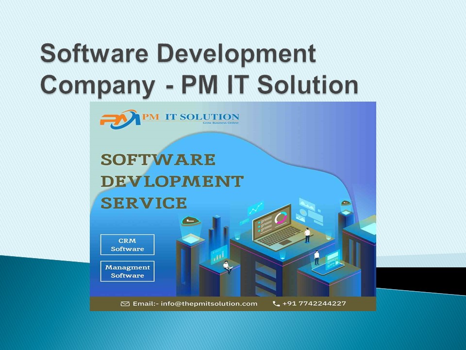 Software Development Company | PM IT Solution (1)