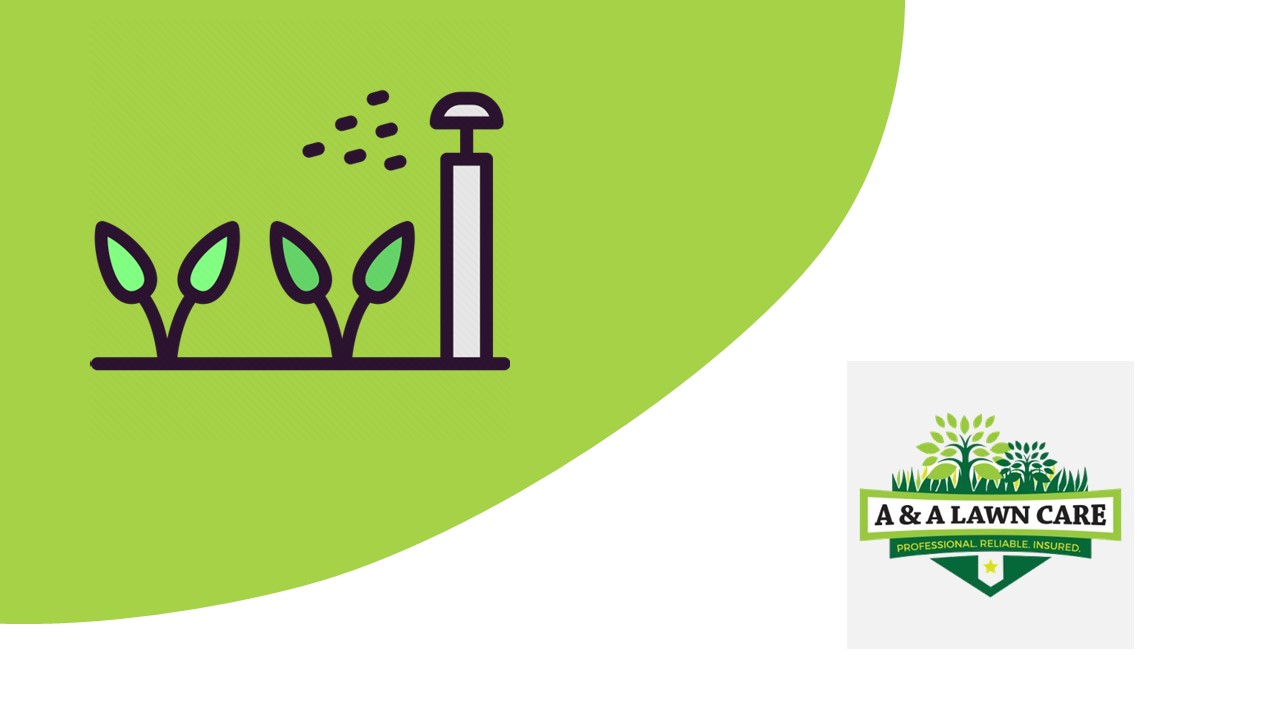 New Braunfels Lawn Maintenance Lawn Care and Pest Control