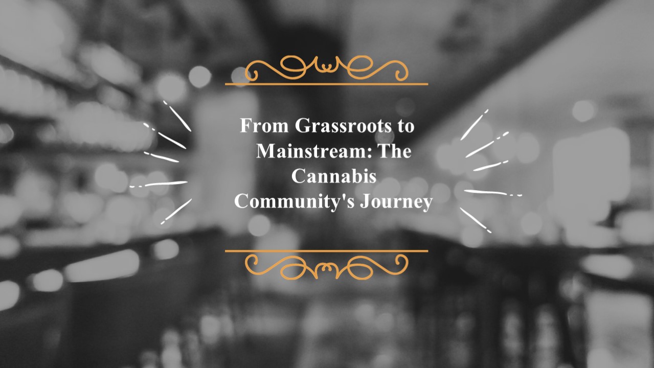 From Grassroots to Mainstream: The Cannabis Community's Journey