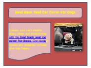 Best Back Seat Car Cover For Dogs